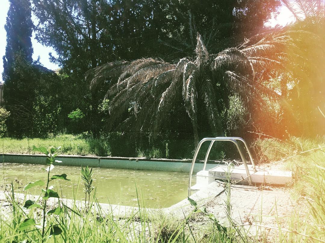 37340848_10156524168592953_1742303391142379520_o